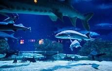 海洋馆有什么海洋生物