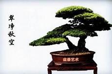 复式回旋曲式结构图