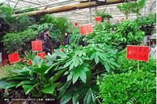 花卉市场在哪个位置